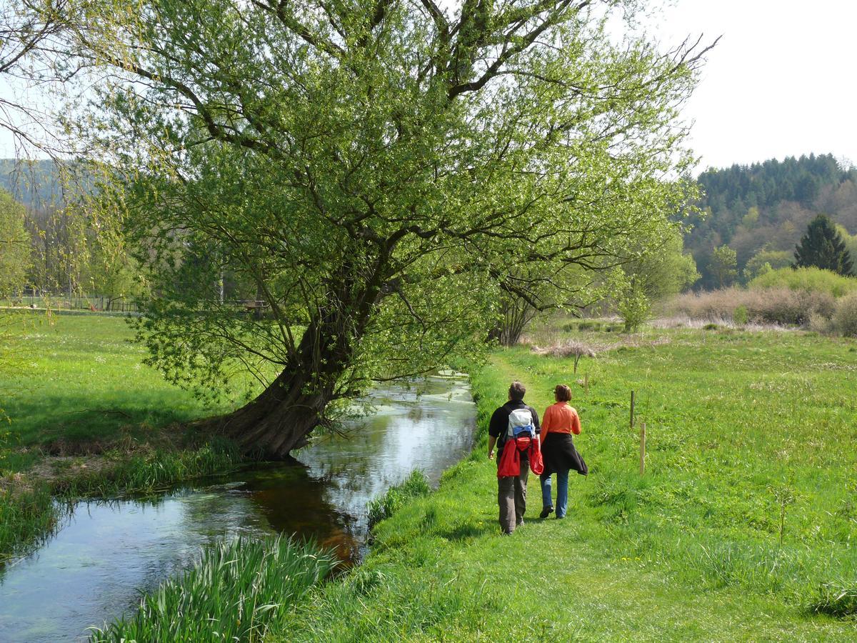 Hotel Blick Zum Maimont Ludwigswinkel Exteriér fotografie