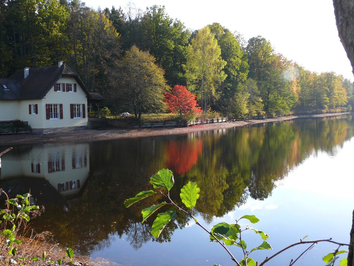 Hotel Blick Zum Maimont Ludwigswinkel Exteriér fotografie