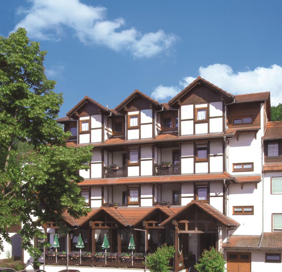 Hotel Blick Zum Maimont Ludwigswinkel Exteriér fotografie